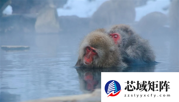 多地医院接诊泡温泉昏迷患者 确诊热射病