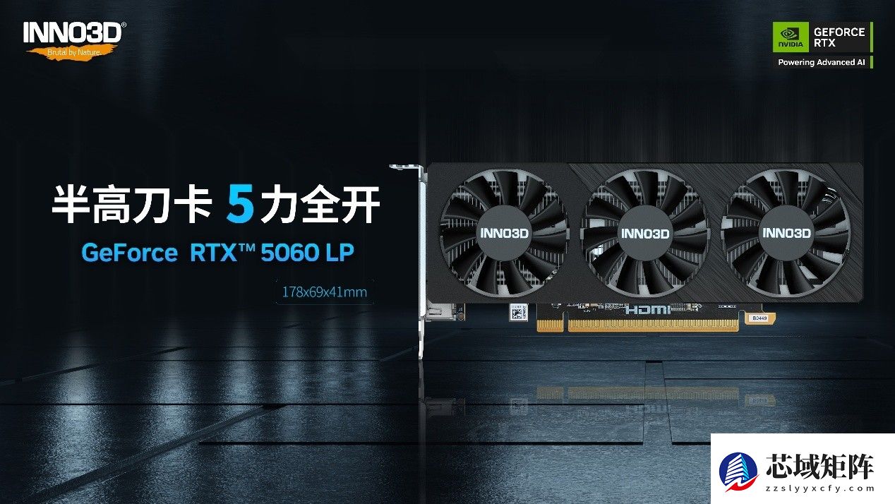 ITX机型救星！RTX5060 LP半高刀卡开箱