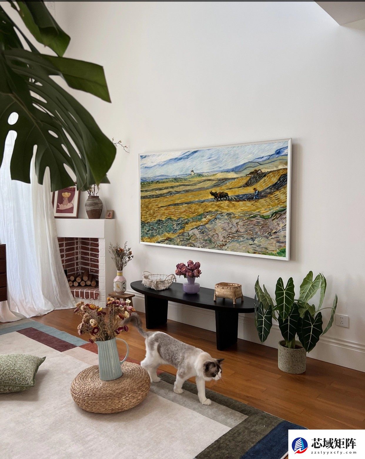 创维A7F Pro收获万条好评 解码高端家装美学新范式