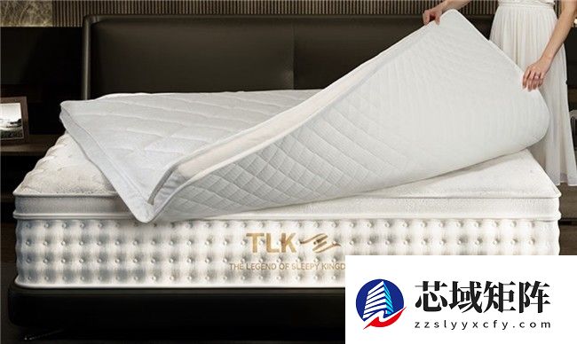 床垫哪个品牌好？2025床垫十品牌权威测评推荐
