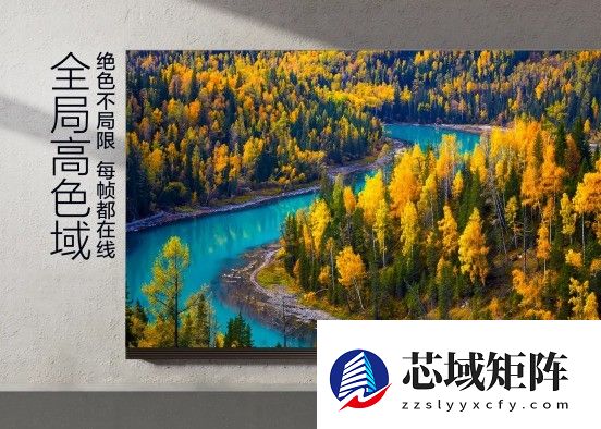 X11L搭载SQD-MiniLED，喜提36氪WISE“年度焦点产品”！