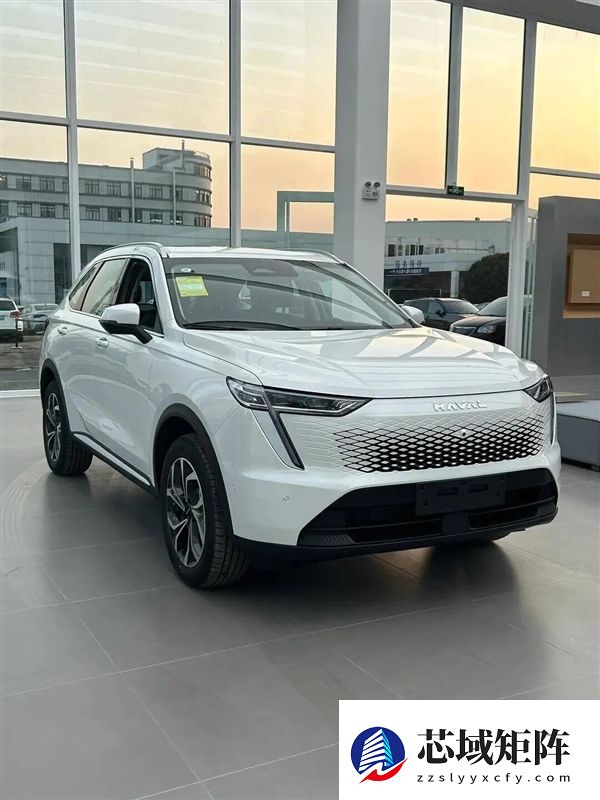 魏建军：智能车“大忽悠”太多 我要搞购车防忽悠指南