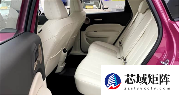 魏建军：智能车“大忽悠”太多 我要搞购车防忽悠指南