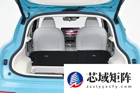 魏建军：智能车“大忽悠”太多 我要搞购车防忽悠指南