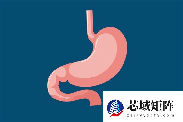 与病魔抗争2年 胃萎缩暴瘦至35斤女子去世：年仅27岁