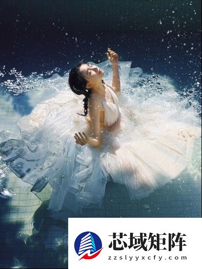 晒出年度影像答卷 尼康2025影像征集活动携重磅好礼启幕