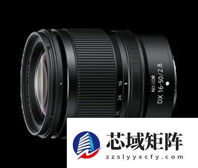 晒出年度影像答卷 尼康2025影像征集活动携重磅好礼启幕