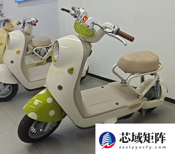 新国标落地引争议，电动自行车优化提速