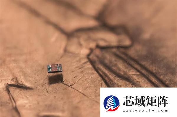 全球最小全自主可编程机器人诞生：接近细菌尺度 成本仅1美分