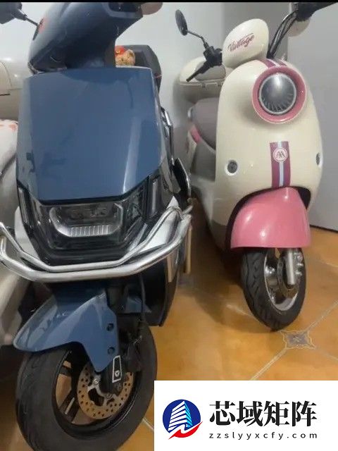 旧标电动车退市引发清仓潮