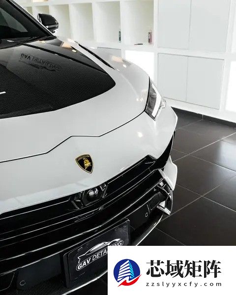 兰博基尼Urus售价294万起，二手挂牌163万，车主社区活跃