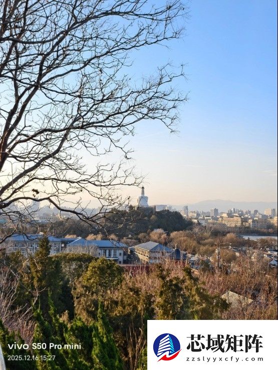 vivo S50 Pro mini上手：同档最完美的小屏旗舰