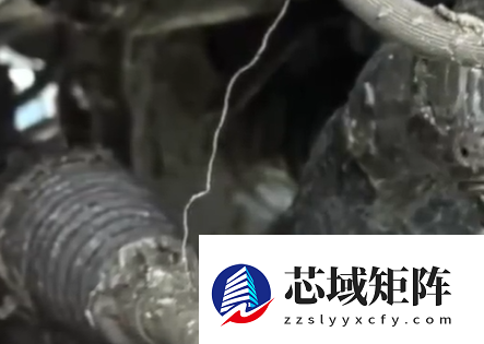 40余车碾压海鲜废料臭到无法开：花数千元清洗几次仍有味道