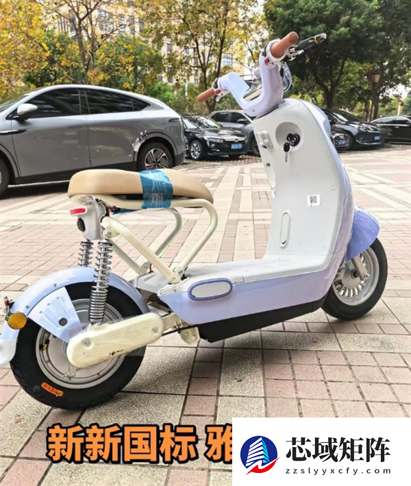 雅迪毛豆电动车因设计争议下架致歉