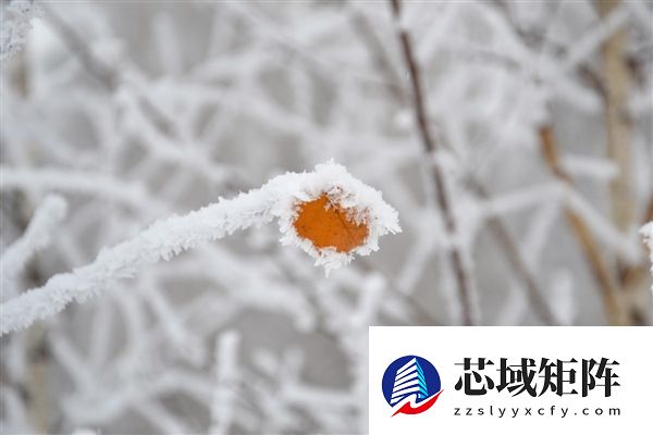 一年最冷的日子要来了！今日冬至 微信上线限定状态