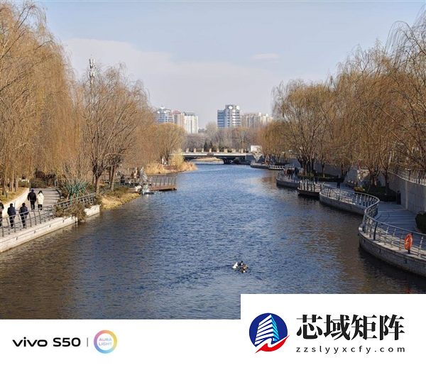 谁说标准版就得妥协 vivo S50全面上手体验