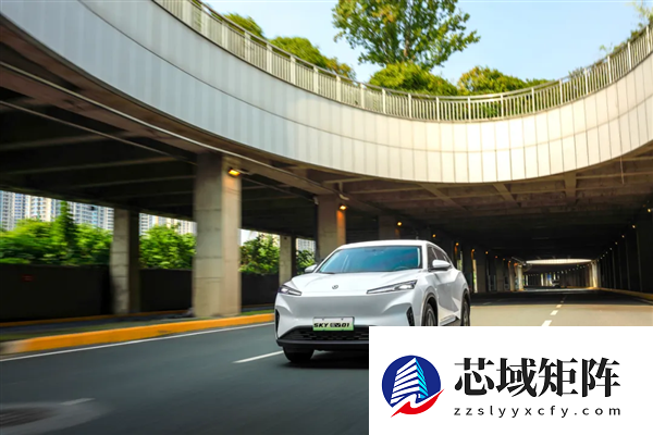 打破GPS严重依赖！全球首款独立北斗量产车风神SKY EV01交付