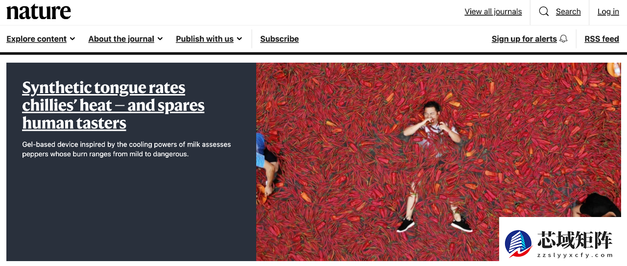 华东理工研发可测辣度的凝胶人工味觉装置