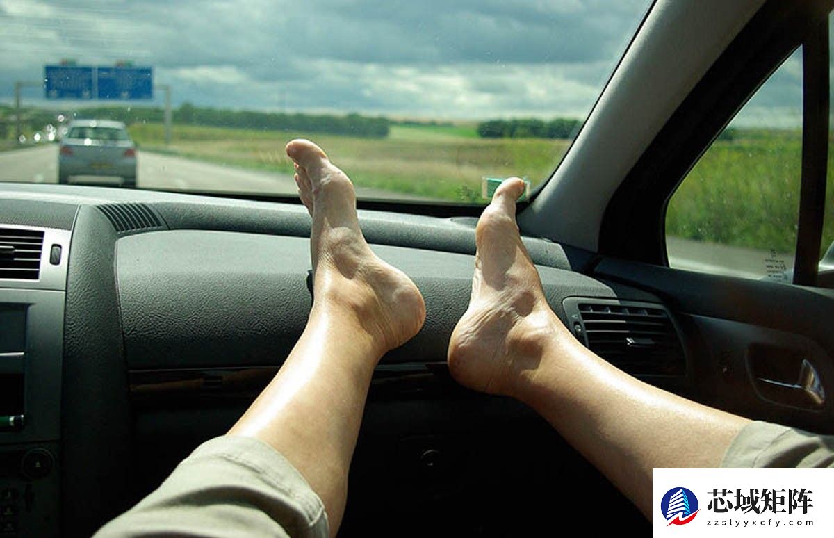 明明不开车，为何还被称为副驾驶？交警权威解读
