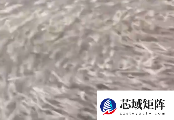 日本大阪一河道涌入鱼群:覆盖整个河面 居民担忧地震