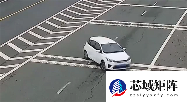 女子开车逆行上高速反怪导航：我没地方走了