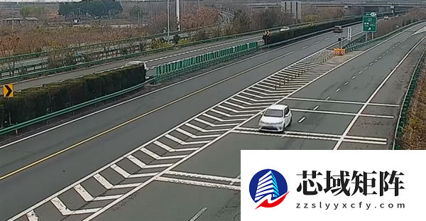 女子开车逆行上高速反怪导航：我没地方走了