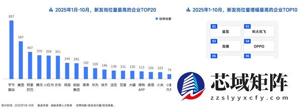 追觅官宣将“下饺子式”IPO 年薪最高120万在脉脉狂揽人才