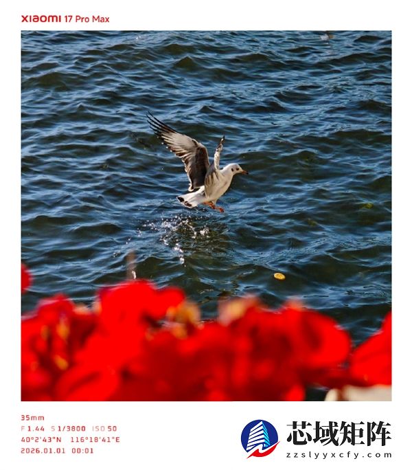 小米澎湃OS 3三款元旦限定水印来了！水墨画风格 清新淡雅