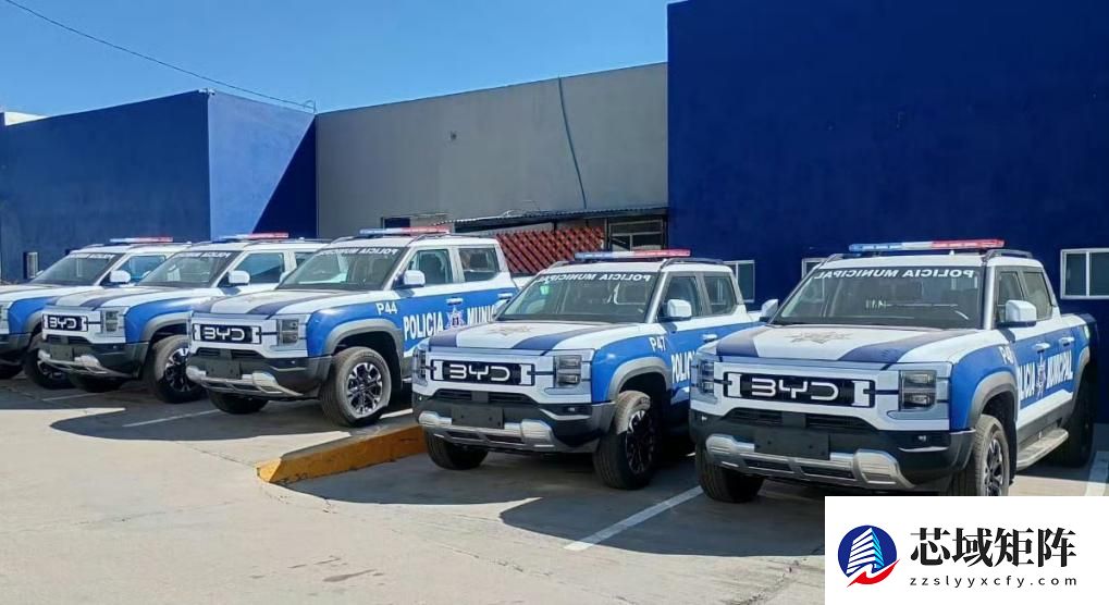 中国新能源车出口海外，比亚迪入选多国公务车