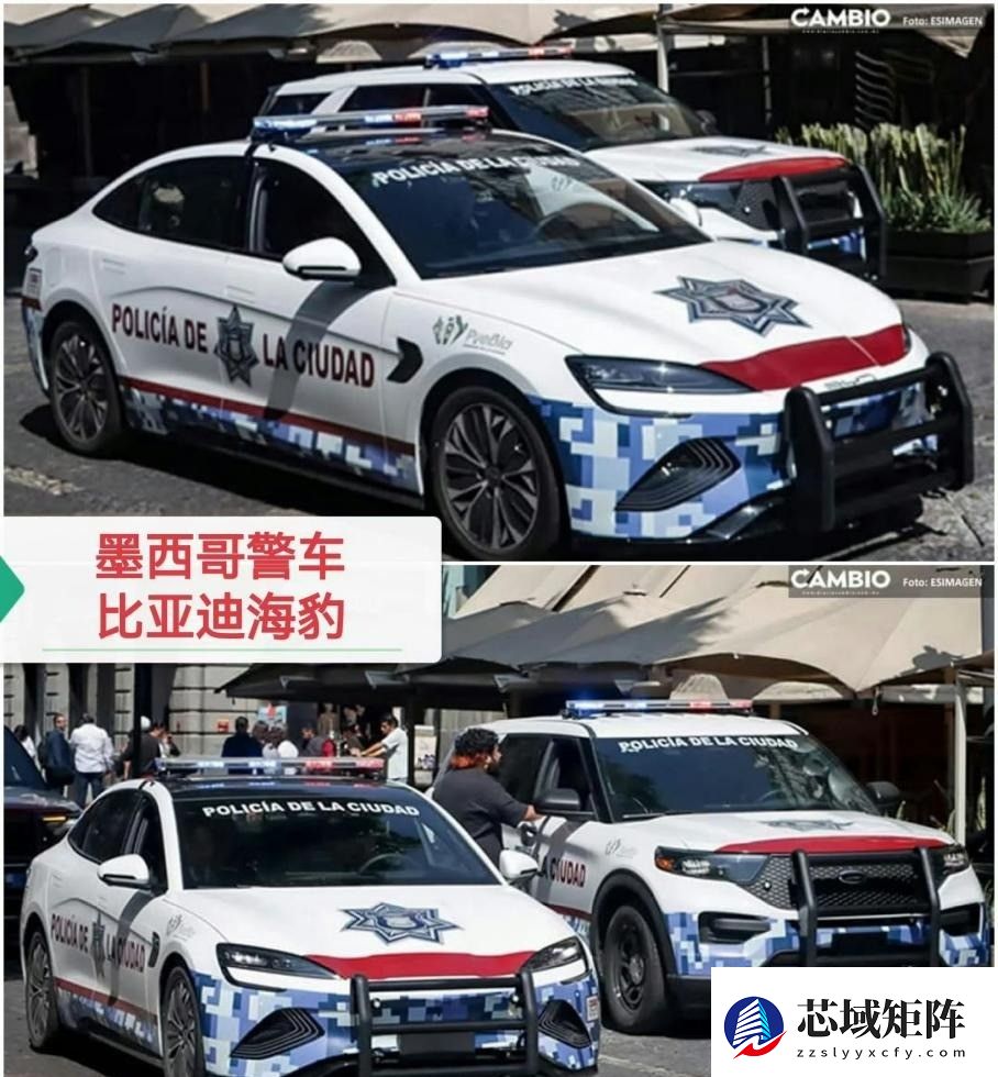 中国新能源车出口海外，比亚迪入选多国公务车