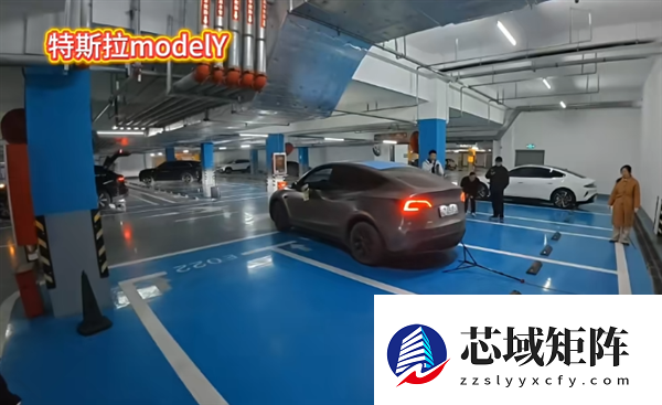 车位内放一铁架子 多款热门车实测自动泊车：只有特斯拉没翻车