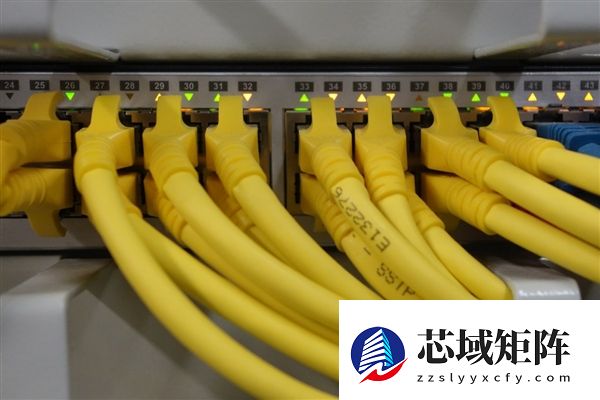 上海电信回应“罗永浩吐槽网速”上热搜 博主韩路分析后力挺老罗：就是电信责任