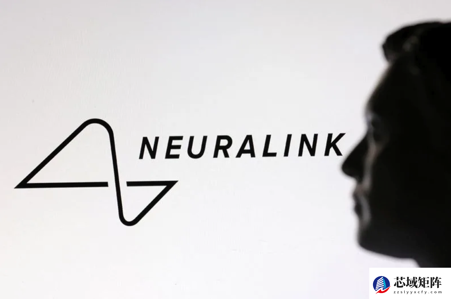 Neuralink任命前FDA官员任医疗负责人