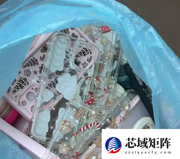 空地现大量全新手机壳：全新未拆封 有人一次捡50个