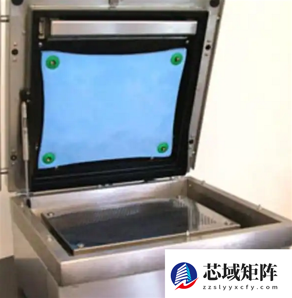 英国禁止将活龙虾、螃蟹等直接投沸水煮 餐饮行业/民众怒了：人道击晕处理成本高