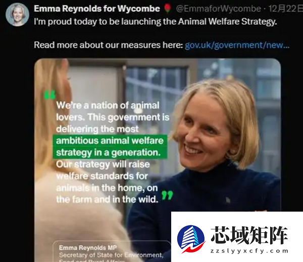 英国禁止将活龙虾、螃蟹等直接投沸水煮 餐饮行业/民众怒了：人道击晕处理成本高