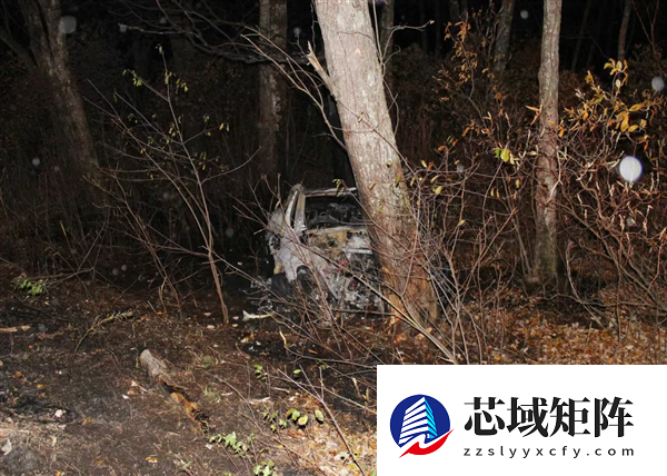 全世界都在围堵隐藏门把手