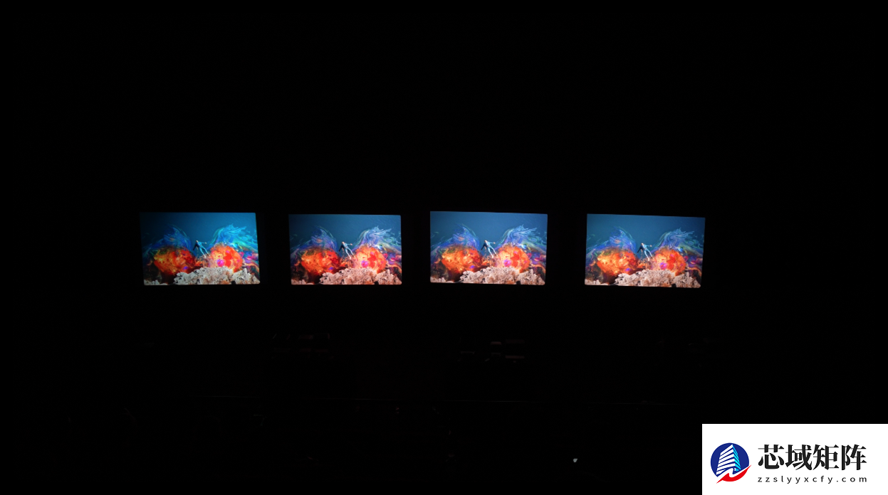 2025年度投影品鉴大会圆满落幕年度推荐产品揭晓