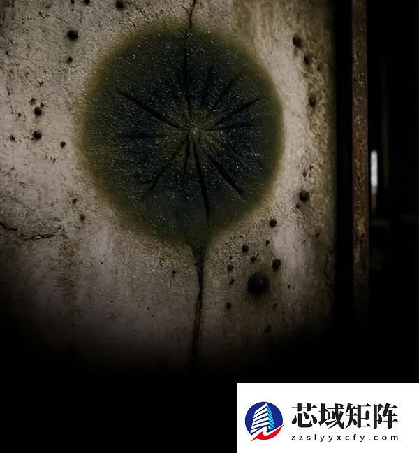 切尔诺贝利的真菌正在学会吸收强辐射 可能利用辐射进行未知的代谢