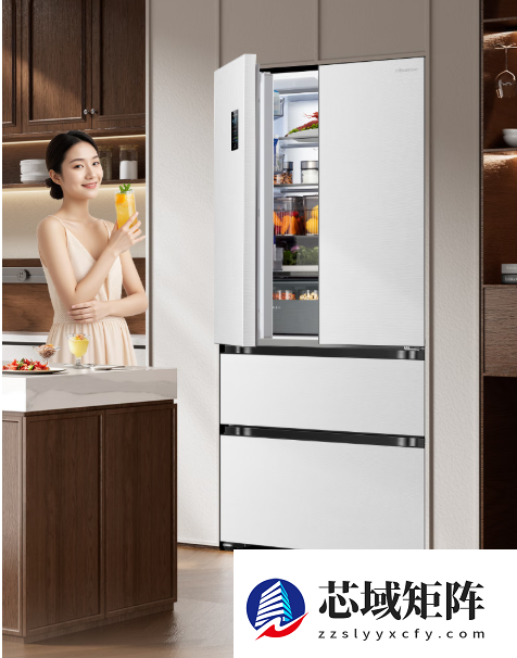 优雅艺术与智慧鲜储：四款法式冰箱深度推荐