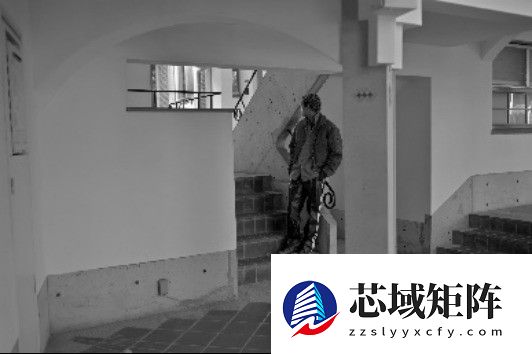 尼康联动RED及全球创作者上线12款电影级色彩方案，解锁影像创作新美学