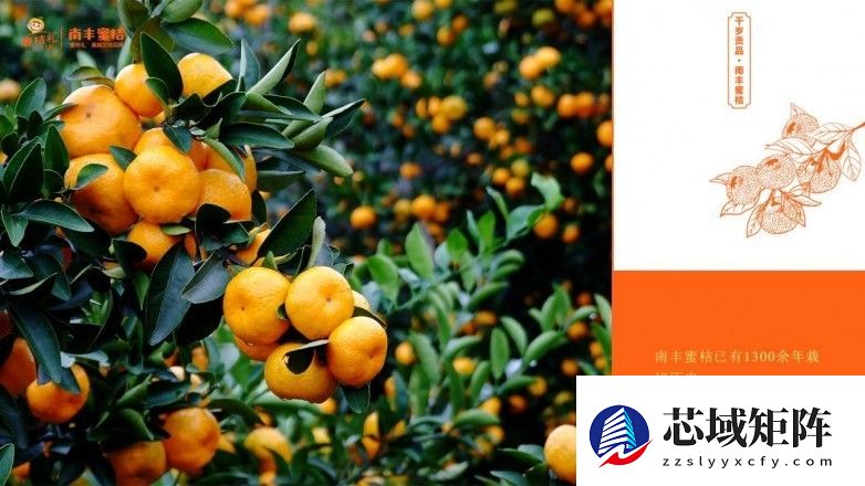 一颗蜜桔，竟藏着南丰的五个千年秘密！