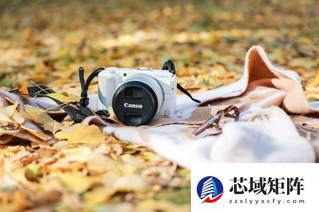 佳能EOS R50 V旅行摄影师的4K Vlog创作必备神器