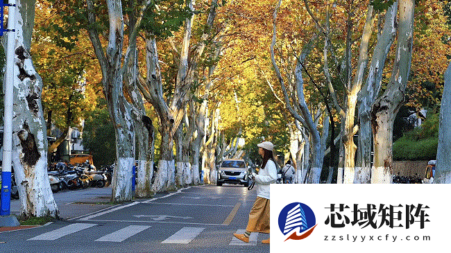 佳能EOS R50 V旅行摄影师的4K Vlog创作必备神器