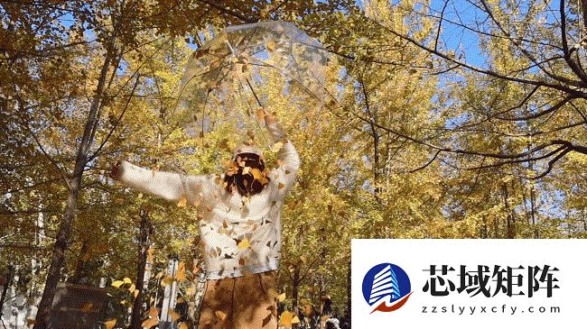 佳能EOS R50 V旅行摄影师的4K Vlog创作必备神器