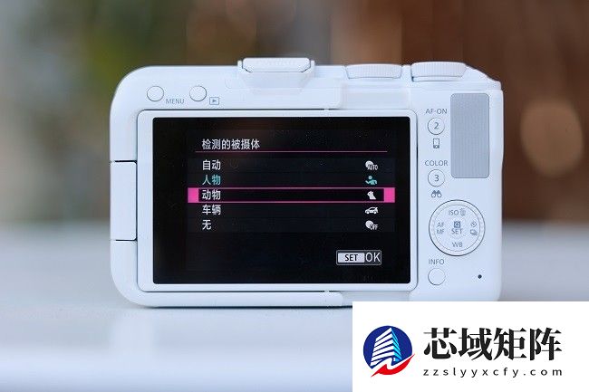 佳能EOS R50 V旅行摄影师的4K Vlog创作必备神器