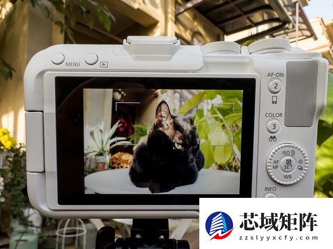 佳能EOS R50 V旅行摄影师的4K Vlog创作必备神器