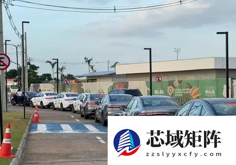 中国车企双线突围：电动先锋与燃油主力的全球博弈