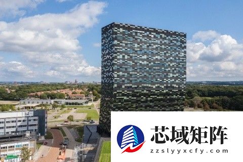 闻泰科技邀安世荷兰协商控制权与供应链稳定