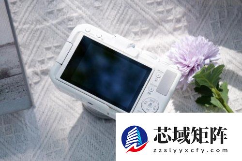 2025年全能直播相机推荐 